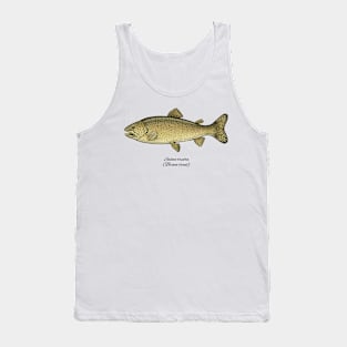 Salmo Trutta Tank Top